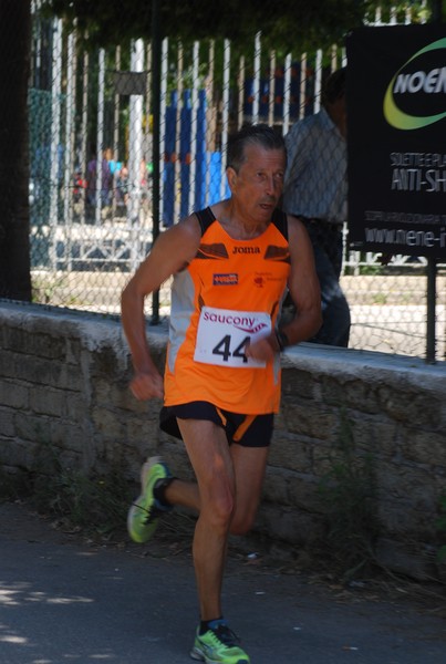 Maratonina di Villa Adriana (31/05/2015) 00105
