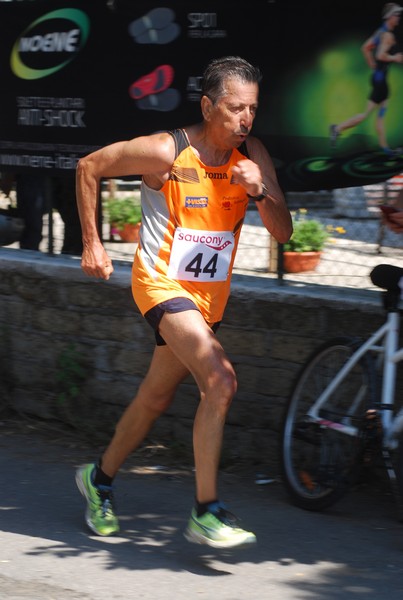 Maratonina di Villa Adriana (31/05/2015) 00106