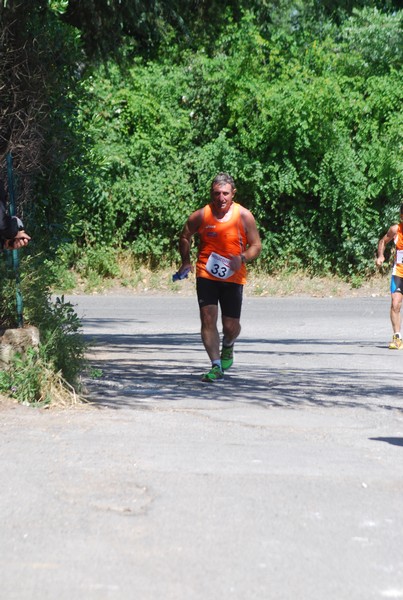 Maratonina di Villa Adriana (31/05/2015) 00109
