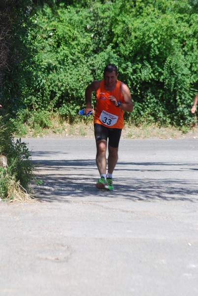 Maratonina di Villa Adriana (31/05/2015) 00110
