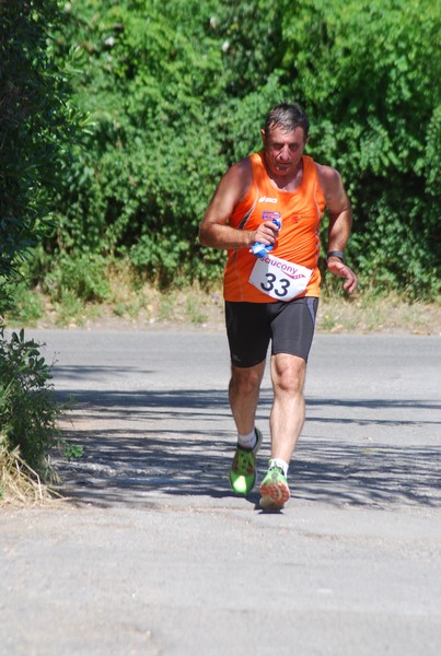 Maratonina di Villa Adriana (31/05/2015) 00112