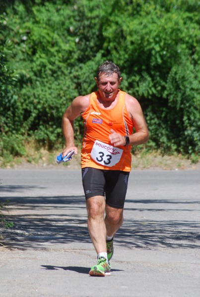Maratonina di Villa Adriana (31/05/2015) 00114