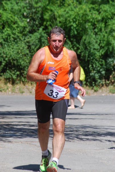 Maratonina di Villa Adriana (31/05/2015) 00115