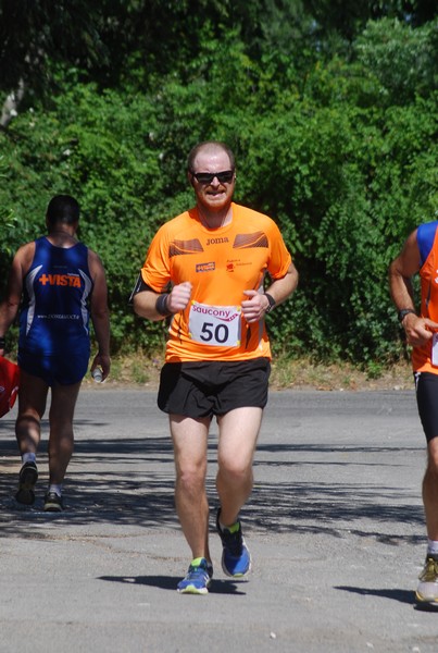 Maratonina di Villa Adriana (31/05/2015) 00148