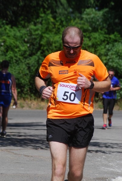 Maratonina di Villa Adriana (31/05/2015) 00152