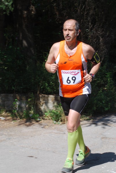 Maratonina di Villa Adriana (31/05/2015) 00187