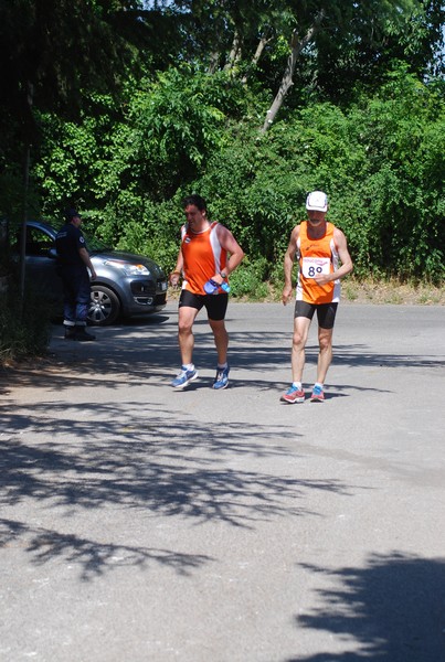 Maratonina di Villa Adriana (31/05/2015) 00193