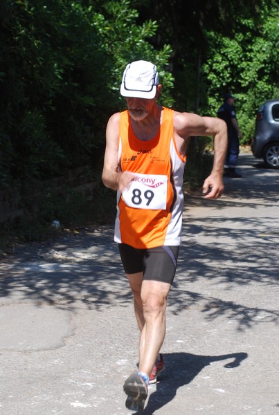 Maratonina di Villa Adriana (31/05/2015) 00201