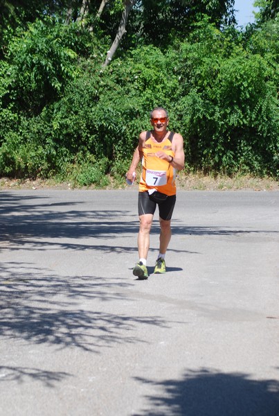 Maratonina di Villa Adriana (31/05/2015) 00205