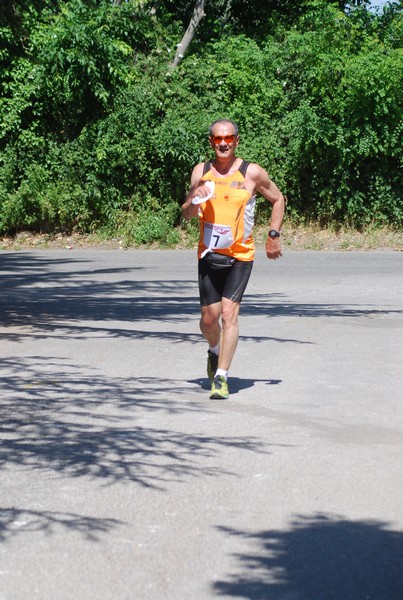 Maratonina di Villa Adriana (31/05/2015) 00206