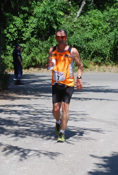 Maratonina di Villa Adriana (31/05/2015) 00209
