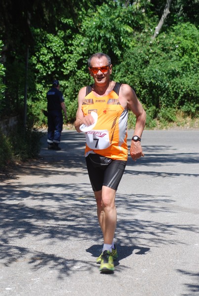 Maratonina di Villa Adriana (31/05/2015) 00210