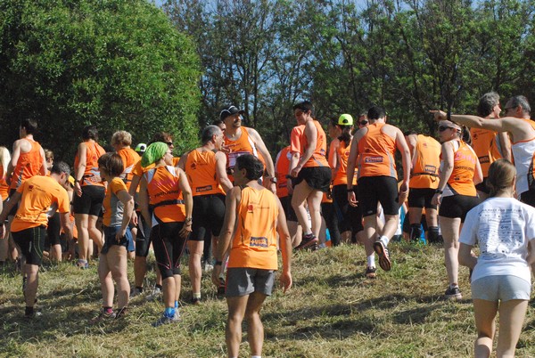 Race For The Cure (17/05/2015) 00002