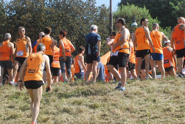 Race For The Cure (17/05/2015) 00003