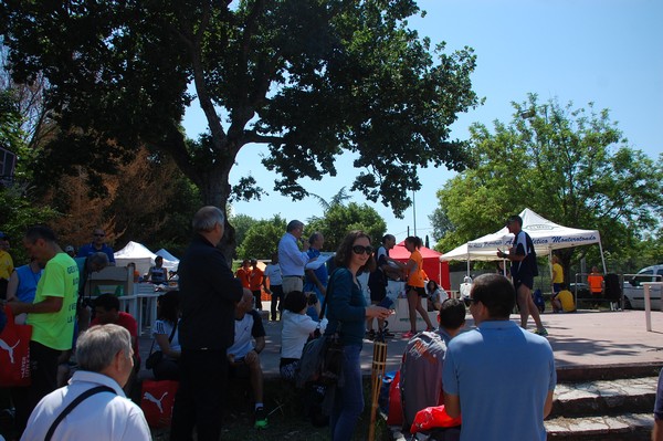 Maratonina di Villa Adriana (31/05/2015) 00002