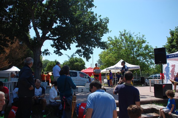 Maratonina di Villa Adriana (31/05/2015) 00003