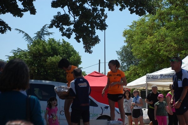 Maratonina di Villa Adriana (31/05/2015) 00004
