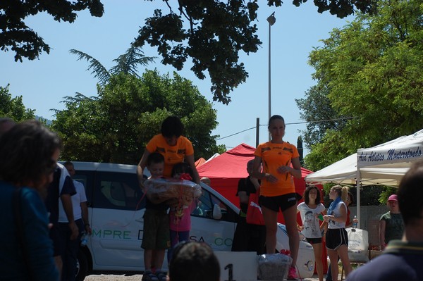 Maratonina di Villa Adriana (31/05/2015) 00005