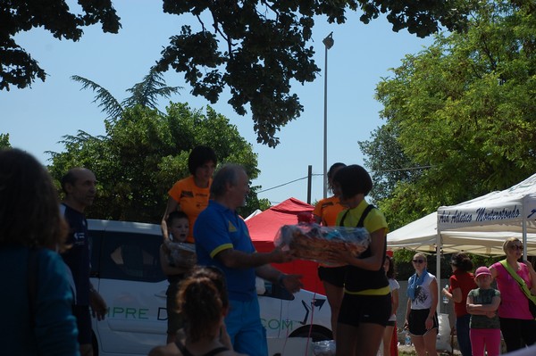 Maratonina di Villa Adriana (31/05/2015) 00010