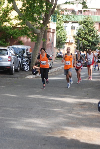 Per Antiqua Itinera (03/05/2015) 00221