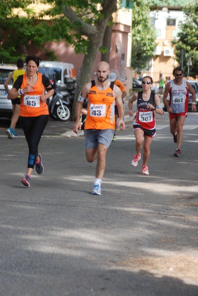 Per Antiqua Itinera (03/05/2015) 00224