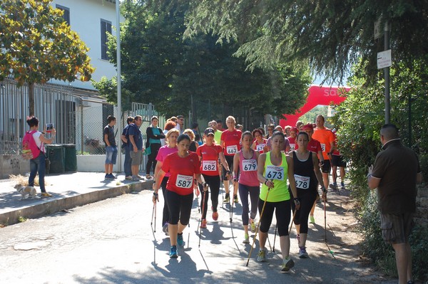 Maratonina di Villa Adriana (31/05/2015) 00002