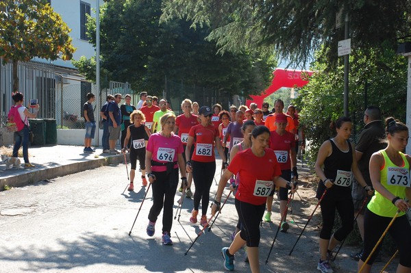 Maratonina di Villa Adriana (31/05/2015) 00004
