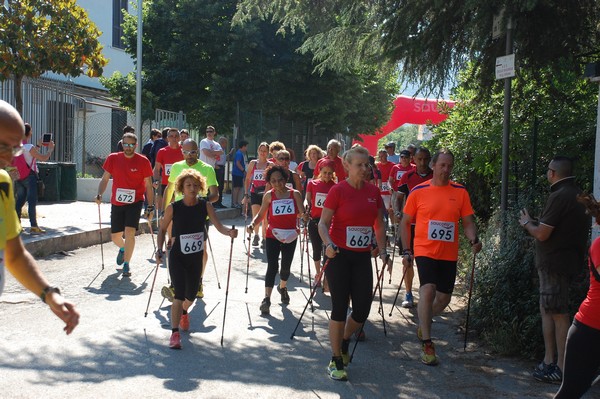 Maratonina di Villa Adriana (31/05/2015) 00007