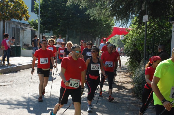 Maratonina di Villa Adriana (31/05/2015) 00012