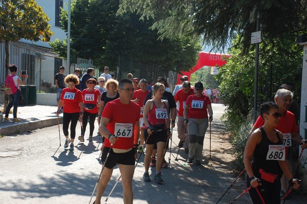 Maratonina di Villa Adriana (31/05/2015) 00013