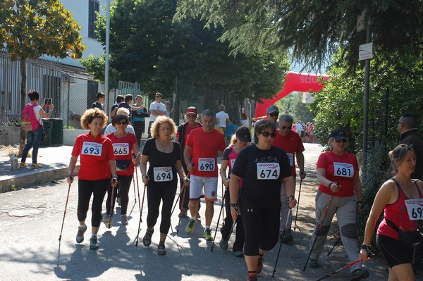 Maratonina di Villa Adriana (31/05/2015) 00016