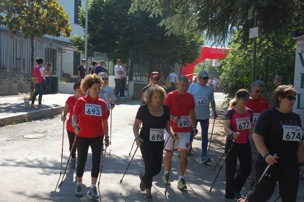 Maratonina di Villa Adriana (31/05/2015) 00017