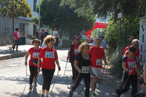 Maratonina di Villa Adriana (31/05/2015) 00018