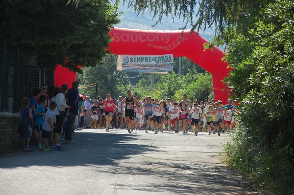 Maratonina di Villa Adriana (31/05/2015) 00021