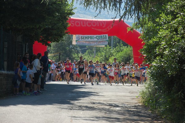 Maratonina di Villa Adriana (31/05/2015) 00022