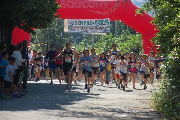 Maratonina di Villa Adriana (31/05/2015) 00025