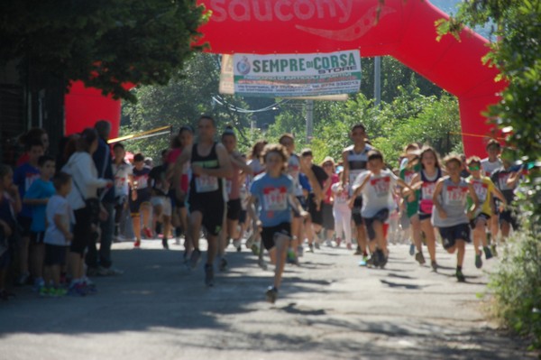 Maratonina di Villa Adriana (31/05/2015) 00027