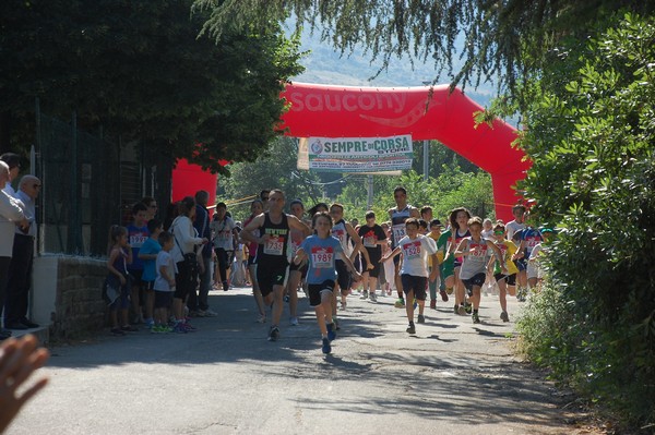 Maratonina di Villa Adriana (31/05/2015) 00028