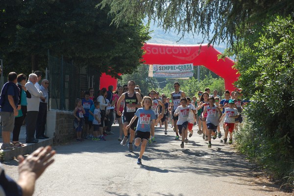 Maratonina di Villa Adriana (31/05/2015) 00030