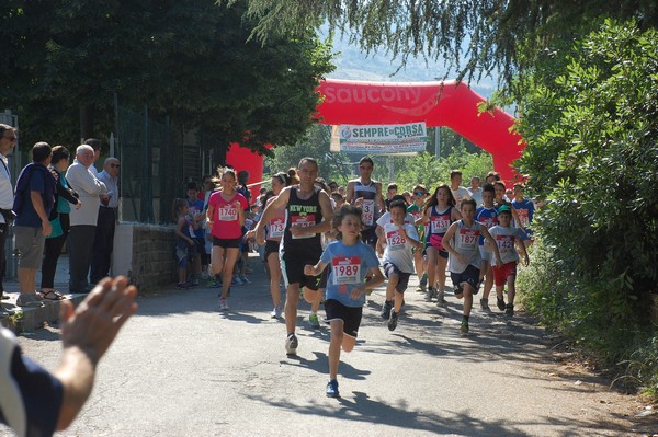 Maratonina di Villa Adriana (31/05/2015) 00032