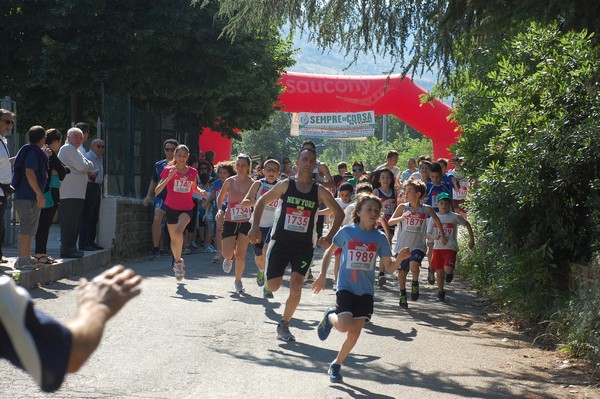 Maratonina di Villa Adriana (31/05/2015) 00033