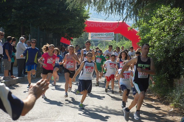 Maratonina di Villa Adriana (31/05/2015) 00035