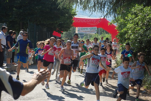 Maratonina di Villa Adriana (31/05/2015) 00036