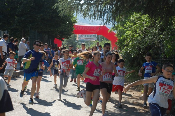 Maratonina di Villa Adriana (31/05/2015) 00037