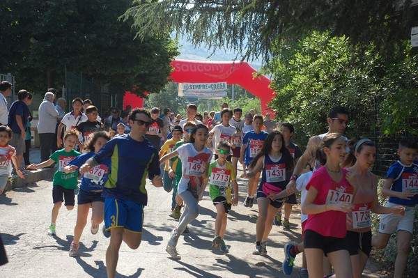 Maratonina di Villa Adriana (31/05/2015) 00038