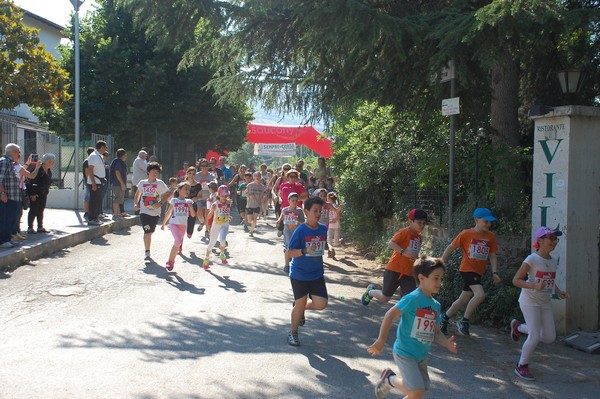 Maratonina di Villa Adriana (31/05/2015) 00045
