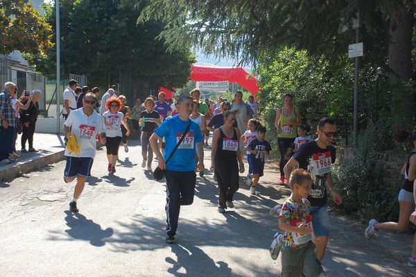 Maratonina di Villa Adriana (31/05/2015) 00051
