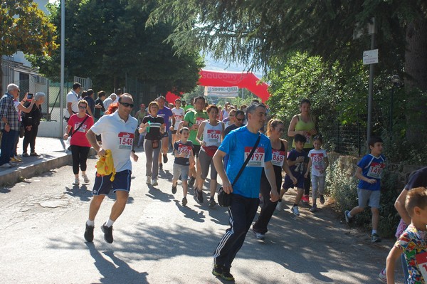 Maratonina di Villa Adriana (31/05/2015) 00052