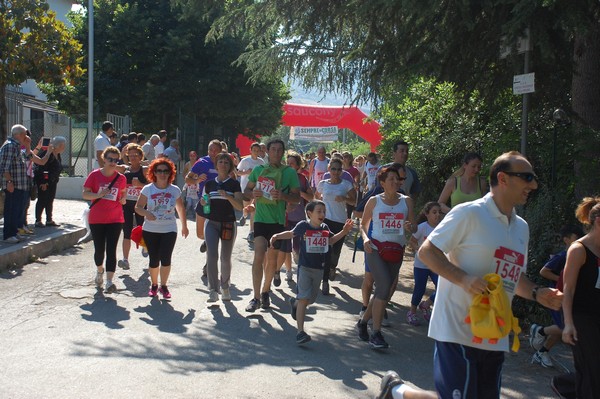 Maratonina di Villa Adriana (31/05/2015) 00053