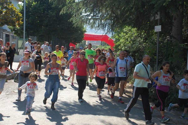 Maratonina di Villa Adriana (31/05/2015) 00059